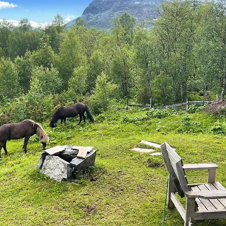 Awesome In With Sauna * Hemsedal
